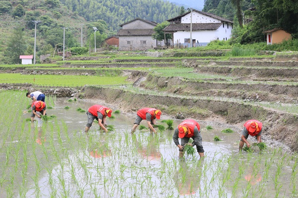 小山村有了大變化——國(guó)網(wǎng)樂安縣供電公司精準(zhǔn)扶貧工作側(cè)記