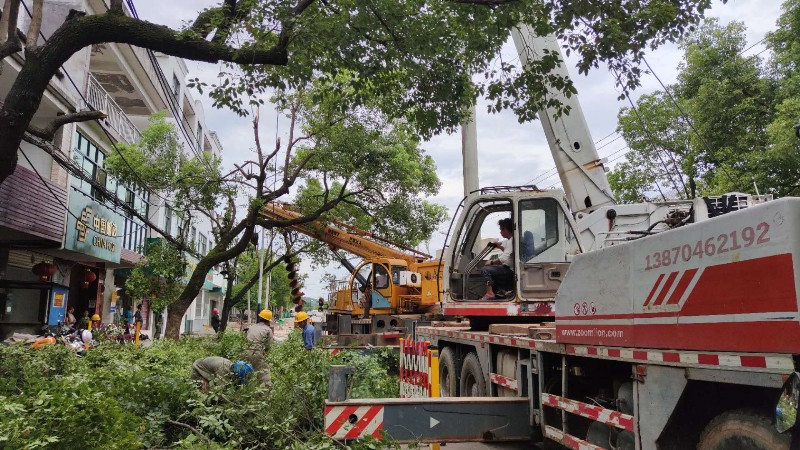 國網南豐縣供電公司：線路整治，備戰(zhàn)迎峰度夏