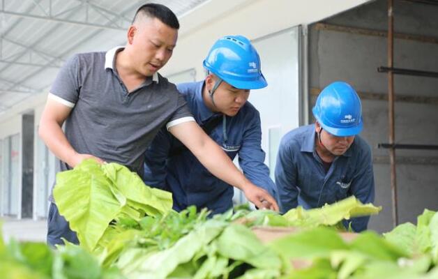 貴州印江供電局：優(yōu)質電力服務 助力烤煙生產