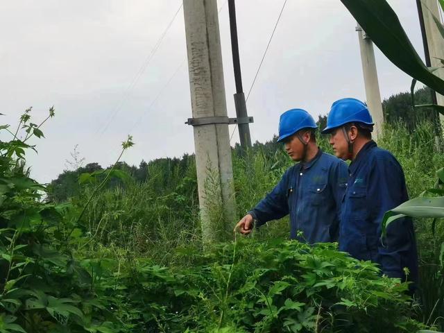 國網(wǎng)長春供電公司積極應對極端天氣，確保線路設備穩(wěn)定運行