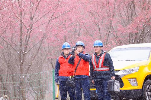 國網壽寧縣供電公司采取措施積極應對雨雪冰凍災害天氣