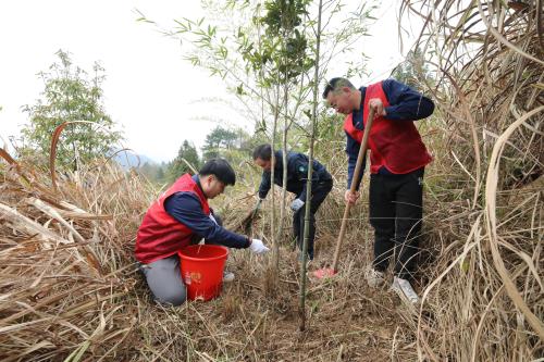 國網(wǎng)壽寧縣供電公司義務(wù)植樹積極服務(wù)生態(tài)文明建設(shè)